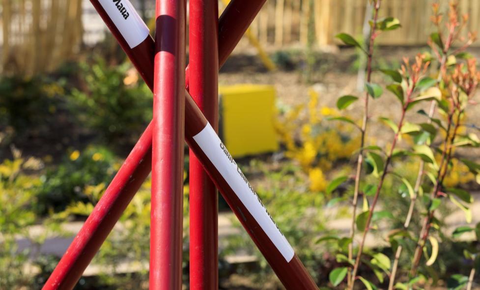 Vertigineuses Clés de Sol - Agrandir l'image, fenêtre modale