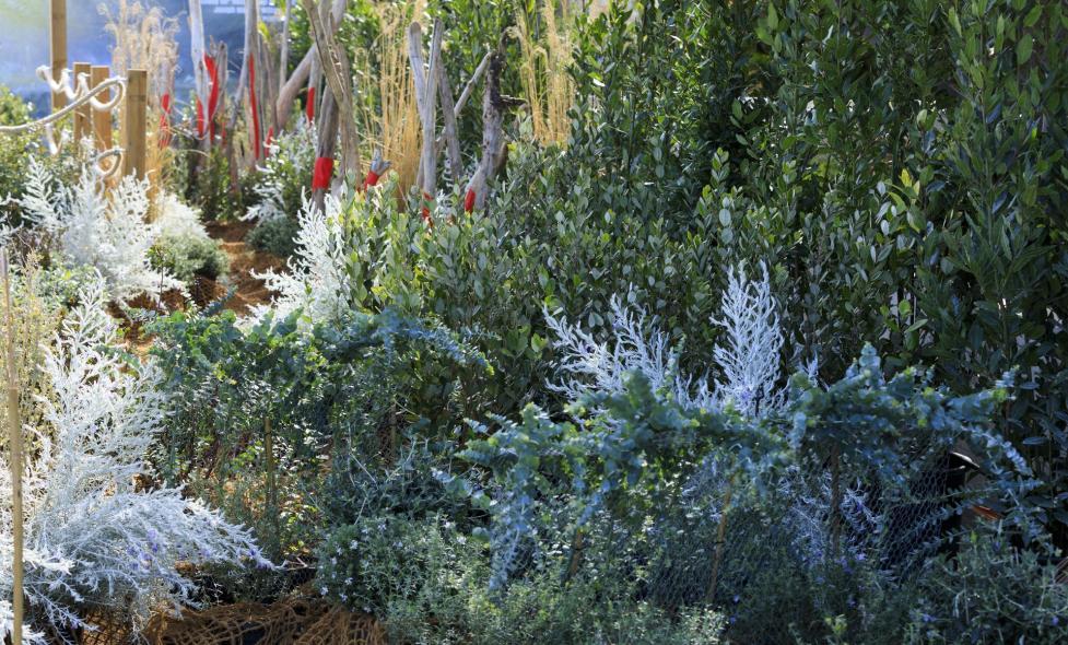 La Jetée - Agrandir l'image, fenêtre modale