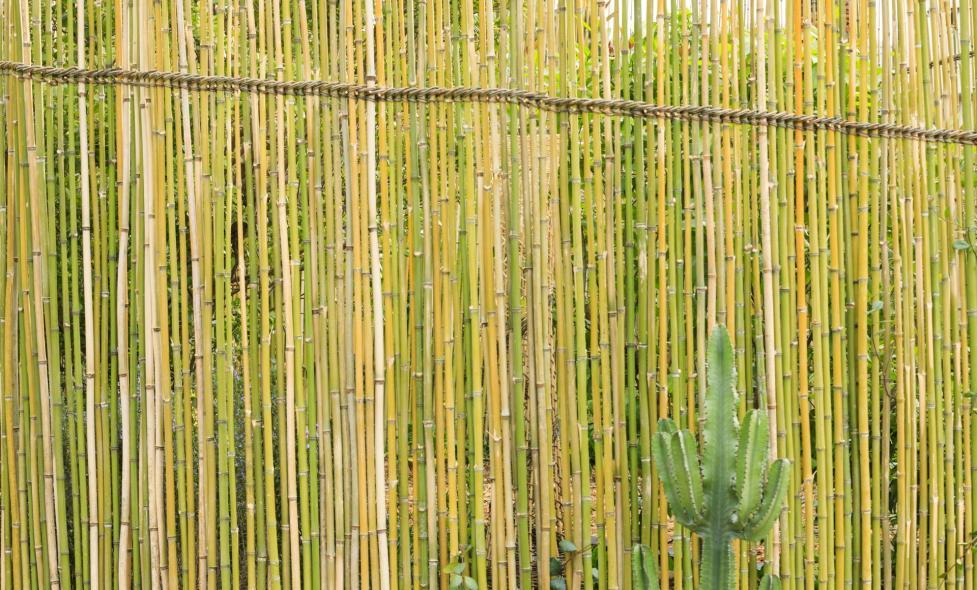 Entre-là - Agrandir l'image, fenêtre modale