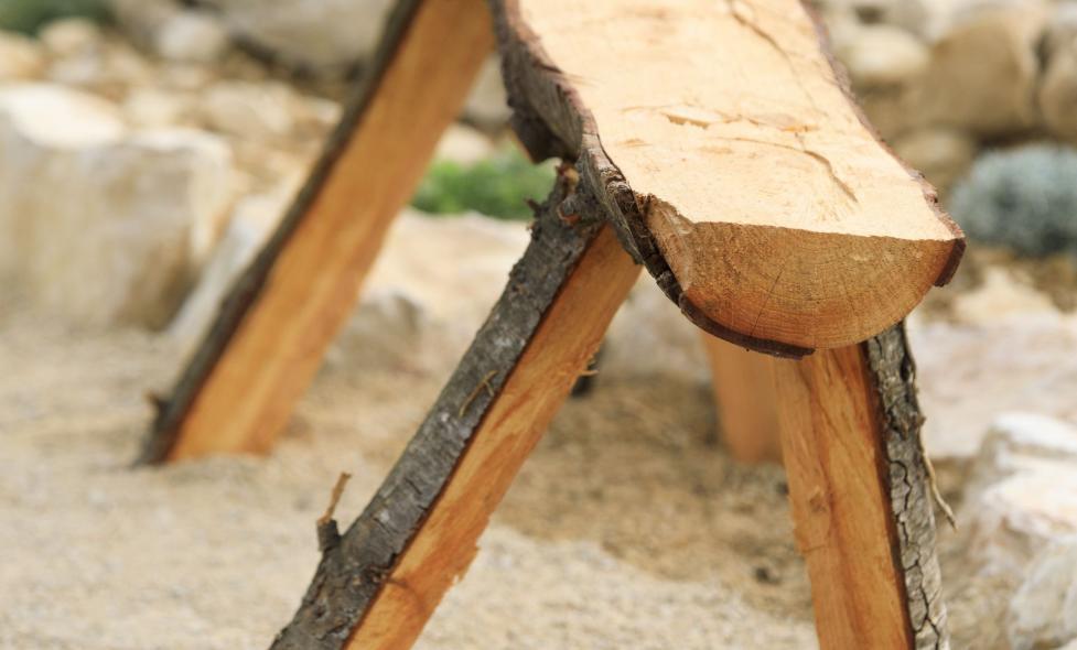 Perspectives d'avenir - Agrandir l'image, fenêtre modale