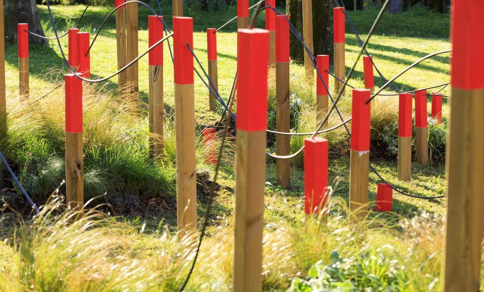 Dernières Vendanges - Agrandir l'image, fenêtre modale
