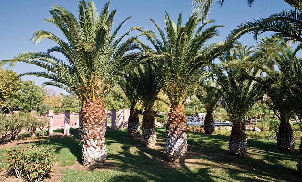 Parc Exflora - Agrandir l'image, fenêtre modale